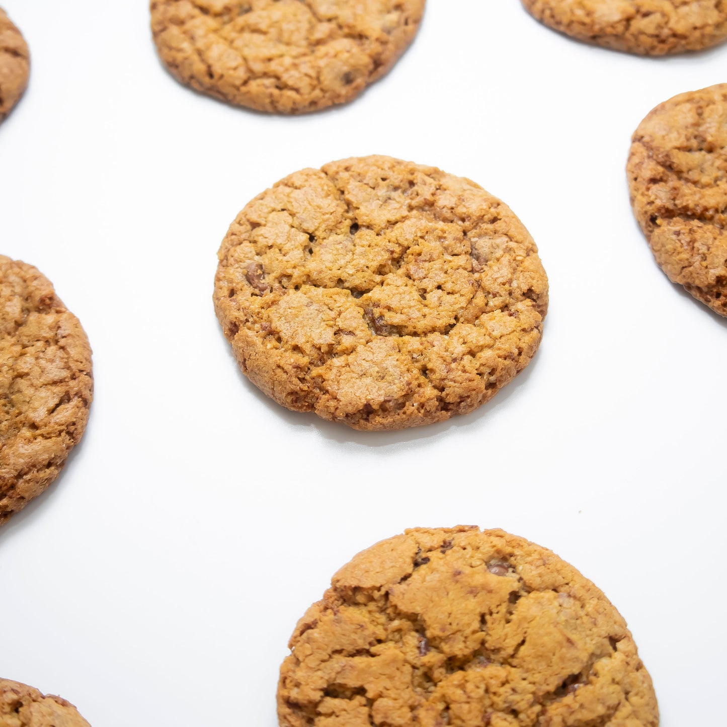 Chocolate Oaty Biscuit Gift Box